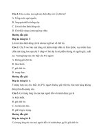 Trắc nghiệm giáo dục công dân lớp 7 có đáp án – chân trời sáng tạo bài  (4)