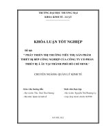 Phát triển thị trường tiêu thụ sản phẩm thiết bị bếp công nghiệp của công ty cổ phần thiết bị á âu