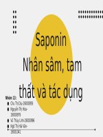 Hợp chất thiên nhiên nhân sâm và tam thất