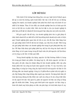 Hoàn thiện kế toán nguyên vật liệu ở công ty cổ phần đầu tư phát triển kỹ nghệ và xây lắp hoàng mai