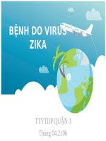 Bài Giảng Bệnh Do Virus Zika.pdf