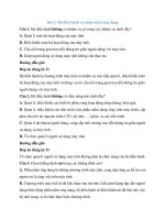 Trắc nghiệm tin học lớp 7 có đáp án – chân trời sáng tạo bài  (2)