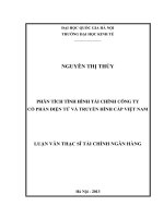 Phân Tích Tình Hình Tài Chính Công Ty Cổ Phần Điện Tử Và Truyền Hình Cáp Việt Nam.pdf