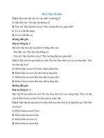 Trắc nghiệm tin học lớp 7 có đáp án – cánh diều bài  (3)