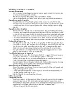 Đa Văn Hóa - Định Hướng Của Kluckhohn Và Strodtbeck.docx