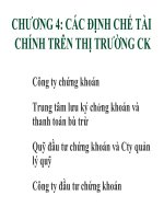 Các Định Chế Tài Chính Trên Thị Trường Chứng Khoán.pdf