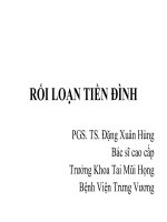 Bài Giảng Rối Loạn Tiền Đình.pdf
