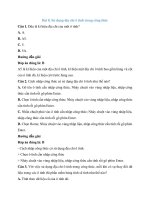 Trắc nghiệm tin học lớp 7 có đáp án – chân trời sáng tạo bài  (7)