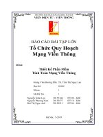 Bài tập lớn tổ chức quy hoạch mạng viễn thông đề tài thiết kế phần mềm tính toán mạng viễn thông