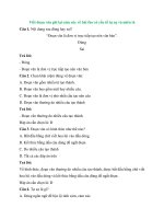 Trắc nghiệm văn lớp 6 có đáp án – cánh diều bài  (31)