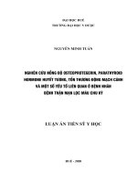 Nghiên Cứu Nồng Độ Osteoprotegerin, Parathyroid Hormone Huyết Tương, Tổn Thương Động Mạch Cảnh Và Một Số Yếu Tố Liên Quan Ở Bệnh Nhân Bệnh Thận Mạn Lọc Máu Chu Kỳ 6599974.Pdf