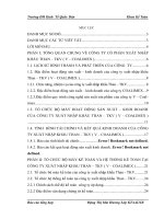 Tổ chức bộ máy kế toán và hệ thống kế toán tại công ty cổ phần xuất nhập khẩu than – tkv ( v – coalimex )