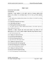 Hoàn thiện kế toán bán hàng tại công ty cổ phần đầu tư tư vấn và phát triển thương mại thăng long