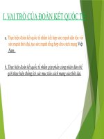 Vai Trò Của Đoàn Kết Quốc Tế.pdf