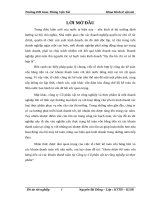 Hoàn thiện kế toán vốn bằng tiền và các khoản thanh toán tại công ty cổ phần vật tư công nghiệp và thực phẩm