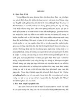 Tiểu luận cao học những giải pháp phát huy vại trò cửa quần chứng nhân đâĩi trong đấu tranh phòng chống ma tuý và các tệ nạn xã hội ở quận hải an, thành phố hải phòng”