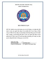 Nghiên cứu sự ảnh hưởng của các yếu tố động cơ và nhận thức đến hành vi mua của người tiêu dùng với sản phẩm bút bi của công ty thiên long hoạt động marketing