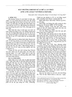 Bt thng ebstein sa cha 1 1 2 tht