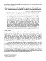 Len men lactic to d ung giau probioti