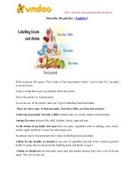 Dang bai mo ta buc tranh chuong trinh tieng anh lop 5 thi diem