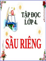 Tập đọc Sầu riêng