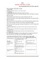 Giáo án ngữ văn 7 bài 6 sách kết nối tri thức bài học cuộc sống