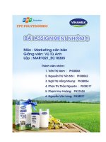 Phân tích môi trường marketing của vinamilk lựa chọn và nghiên cứu một dòng sản phẩm của vinamilk