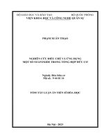 Luận án nghiên cứu điều chế và ứng dụng một số sulfoxide trong tổng hợp hữu cơ tt