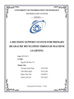 A decision support system for primary headache developed through machine learning