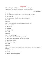 Trắc nghiệm ngữ văn lớp 7 có đáp án bài  (17)