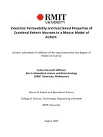 Masters thesis of science intestinal permeability and functional properties of duodenal enteric neurons in a mouse model of autism