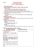 Tuần 24                                     kế hoạch bài dạy