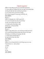 Trắc nghiệm ngữ văn lớp 7 có đáp án bài  (19)