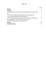 Mon kinh tế phát triển   phát triển nguồn nhân lực đáp ứng yêu cầu đẩy mạnh công nghiệp hóa, hiện đại hóa và hội nhập quốc tế