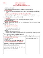 Tuần 8                                     kế hoạch bài dạy