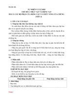 Giáo án Tự nhiên xã hội 3 sách Cánh diều (Học kỳ 2)