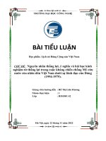 Nguyên nhân thắng lợi, ý nghĩa và bài học kinh nghiệm từ thắng lợi trong cuộc kháng chiến chống mỹ cứu nước của nhân dân việt nam