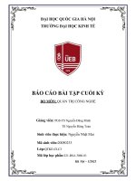 Báo cáo anhchị hãy nêu tối thiểu 10 luận điểm có giá trị của môn học quản trị rủi ro và giải thích tính giá trị của các luận điểm đối với công việc