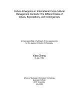 Doctoral thesis of philosophy culture emergence in international cross cultural management contexts the different roles of values, expectations, and contingencies