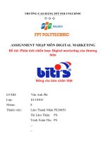 Assignment nhập môn digital marketing đề tài phân tích chiến lược digital marketing của thương hiệu bitit’s