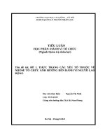 Tiểu Luận Hvtc.docx