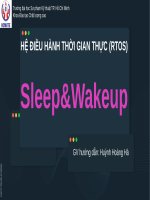 HỆ ĐIỀU HÀNH THỜI GIAN THỰC (RTOS) SleepWakeup