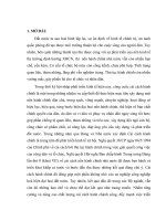 Tiểu luận cao học  cải cách hành chính ở việt nam hiện nay