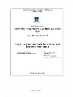 Tiểu luận môn phương pháp luật học  logic học ngành luật kinh tế thực trạng thế giới ảo nhưng sát thương như thật