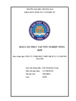 Báo cáo thực tập tại Công ty tnhh phát triển dịch vụ và thương mại cde