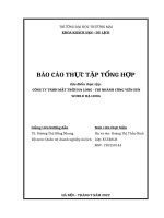 Báo cáo thực tập tại Công ty tnhh mặt trời hạ long – chi nhánh công viên sun world hạ long