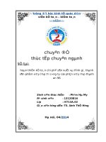 Hoàn thiện kế toán chi phí sản xuất và tính giá thành sản phẩm xây lắp tại công ty cổ phần xây lắp thành an 96