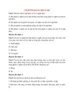 Trắc nghiệm ngữ văn 8 có đáp án bài  (4)