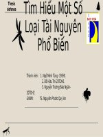 SLIDE BÁO CÁO ĐỀ TÀI TÀI NGUYÊN MÔI TRƯỜNG