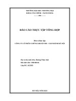 Công ty cổ phần chứng khoán mb   chi nhánh hà nội